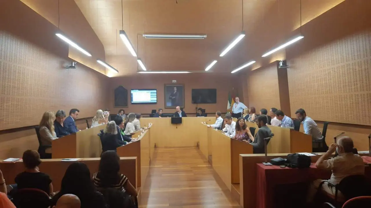Pleno Extraordinario.  - Viva. 