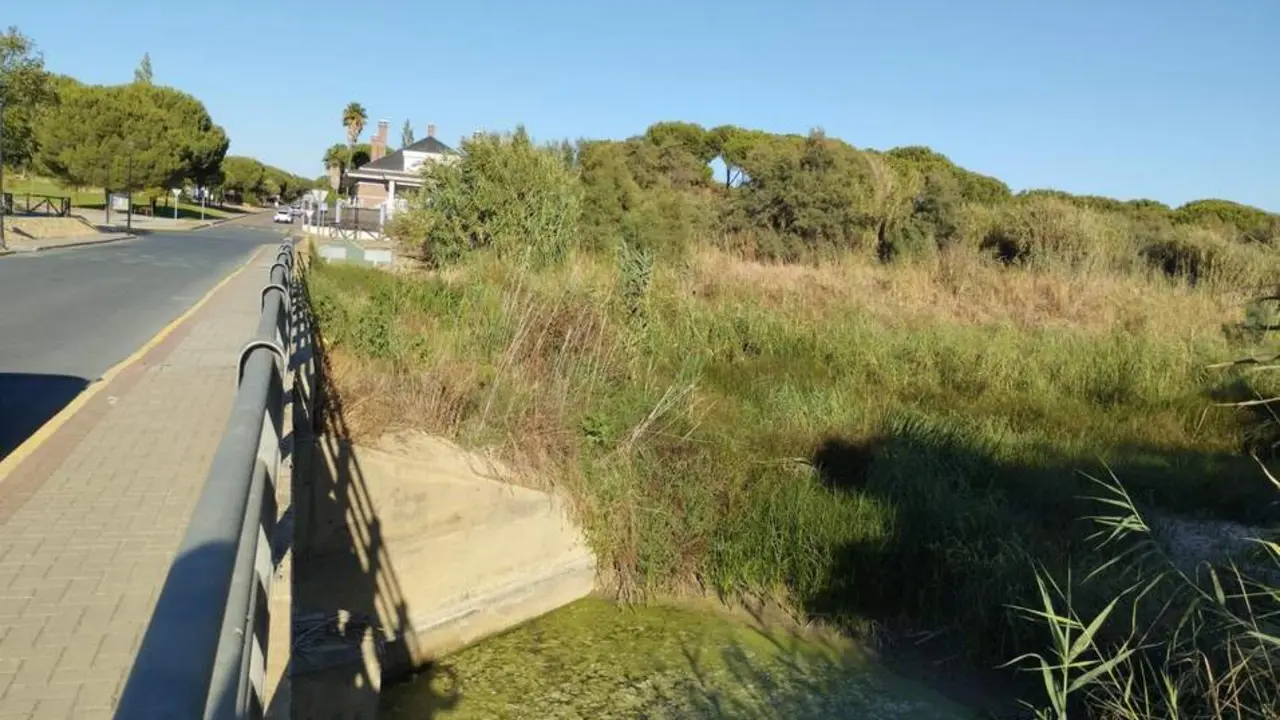 Estado actual del cauce del arroyo del Chorrito. - VH