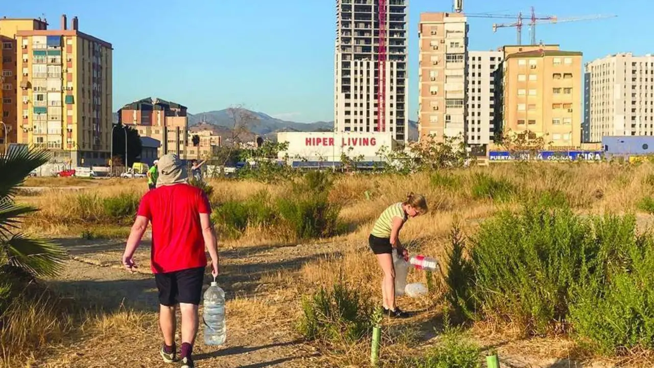 Tareas de cuido por parte de los voluntarios. - BUM