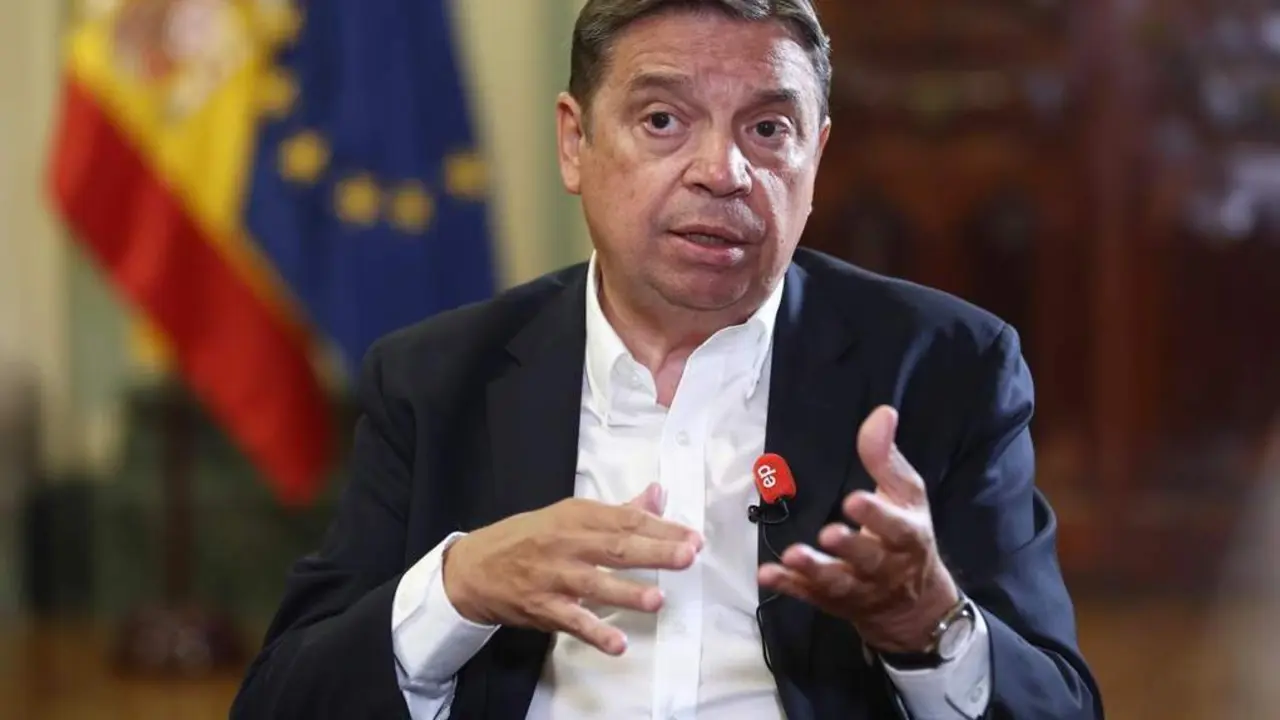 El ministro de Agricultura, Pesca y Alimentaci&oacute;n, Luis Planas. | Europa Press