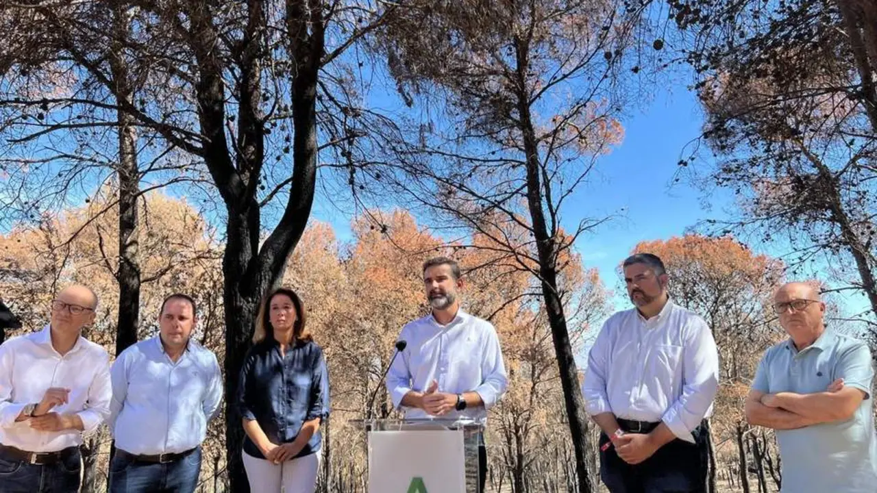 El consejero de Sostenibilidad, Medio Ambiente y Econom&iacute;a Azul, Ram&oacute;n Fern&aacute;ndez-Pacheco, anuncia las acciones para la zona afectada por el incendio de El Higuer&oacute;n. - EP
