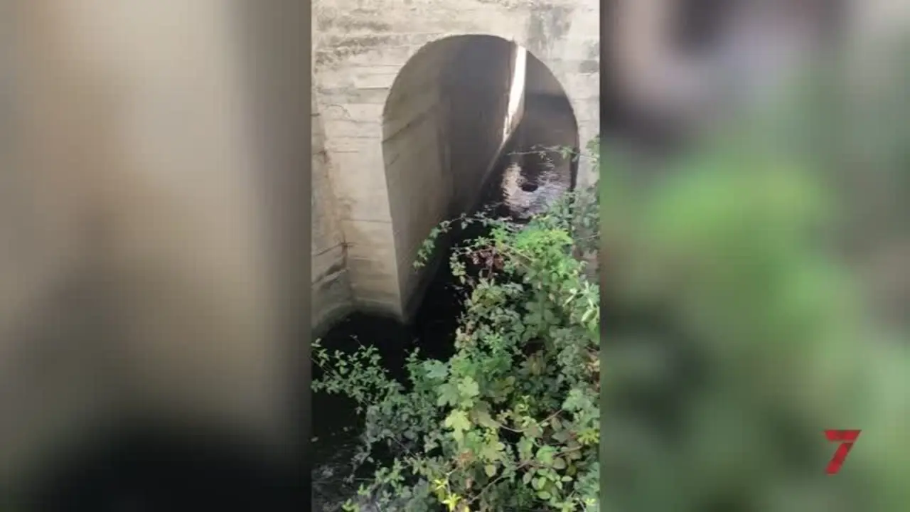 Ecologistas alerta del vertido de agua potable al cauce de un arroyo en Jerez