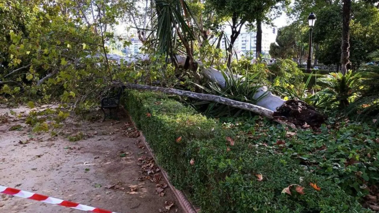 Ca&iacute;da de una rama de gran porte en los Jardines del Cristina, en foto de archivo.  - EUROPA PRESS