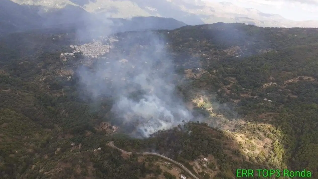 Nuevo incendio forestal en M&aacute;laga. - INFOCA