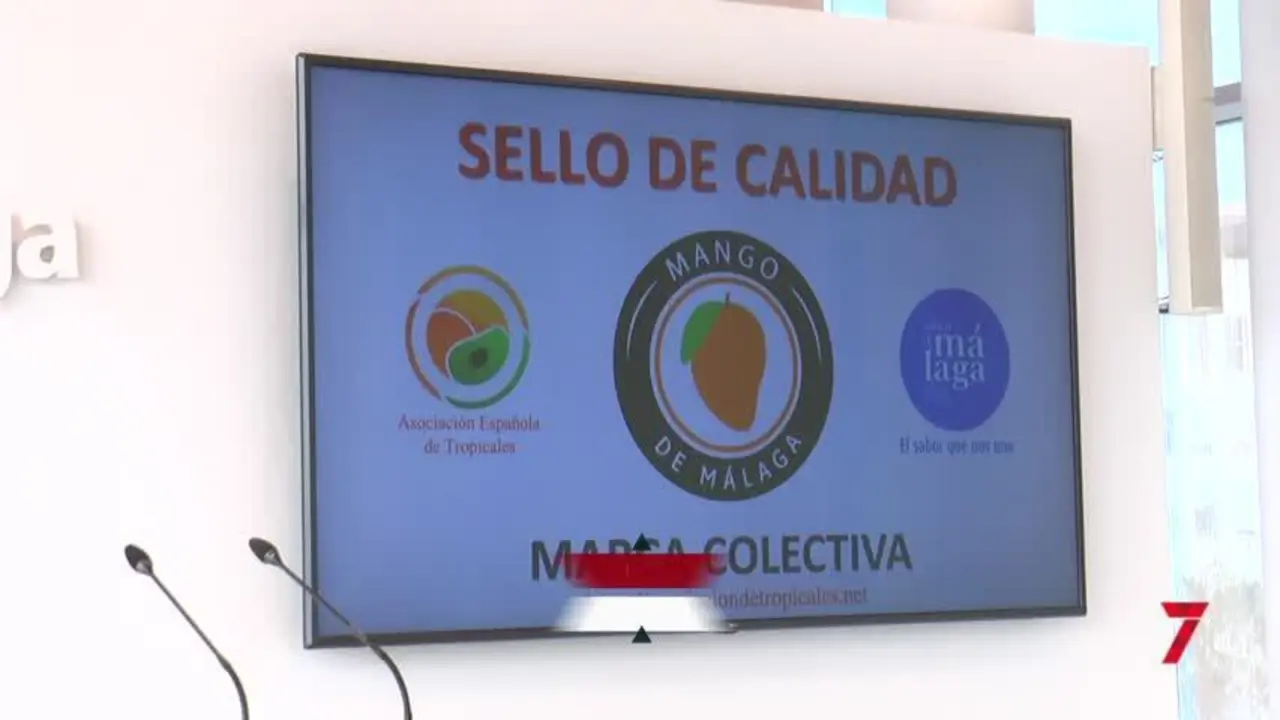 Llega la marca "Mango de M&aacute;laga" distingue a la principal zona productora de la UE