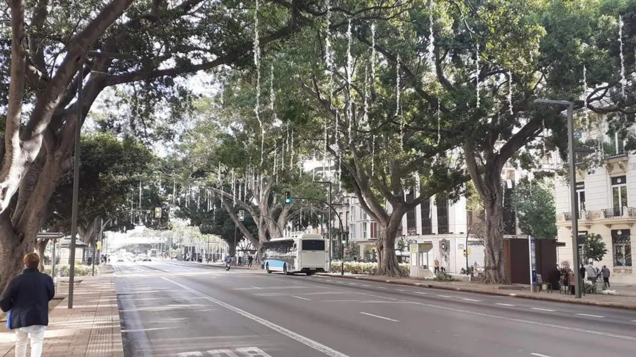 La Alameda Principal con los adornos navide&ntilde;os. - Jotad&eacute;