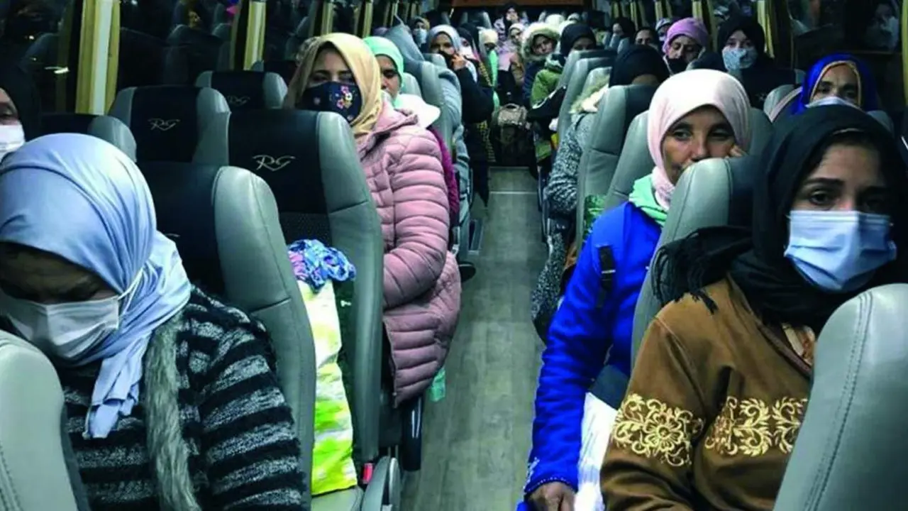Temporeras extranjeras se desplazan en autob&uacute;s al campo onubense para participar en la campa&ntilde;a de recogida de frutos rojos en la &uacute;ltima campa&ntilde;a.  - A. I.