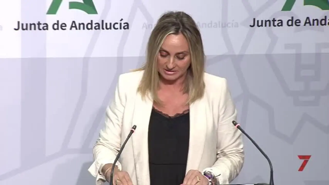 Las VTC no podr&aacute;n circular cerca de hoteles o estaciones en Andaluc&iacute;a