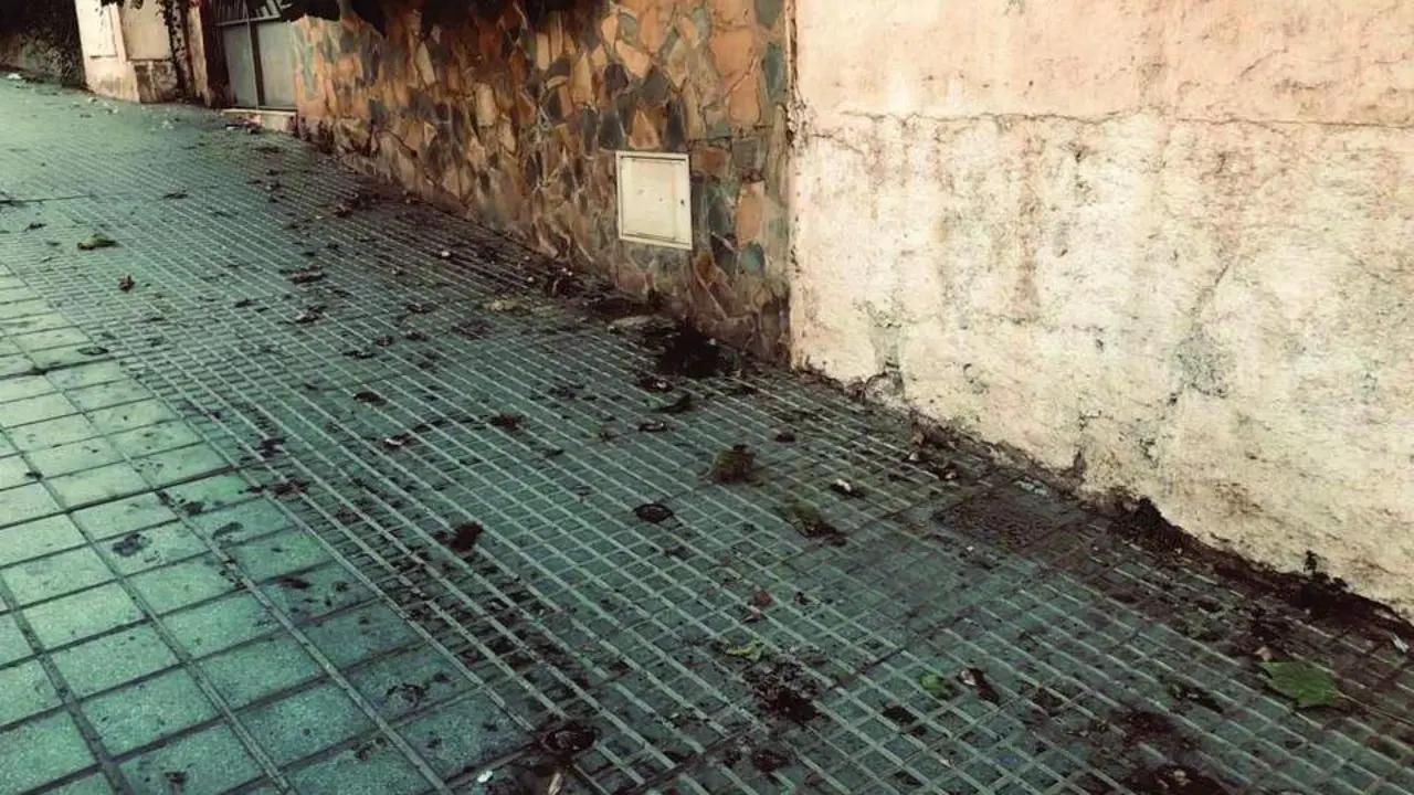 Calle sin baldeos. - PSOE M&auml;laga