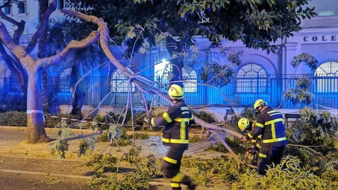 Bomberos en la zona anoche.  - Viva