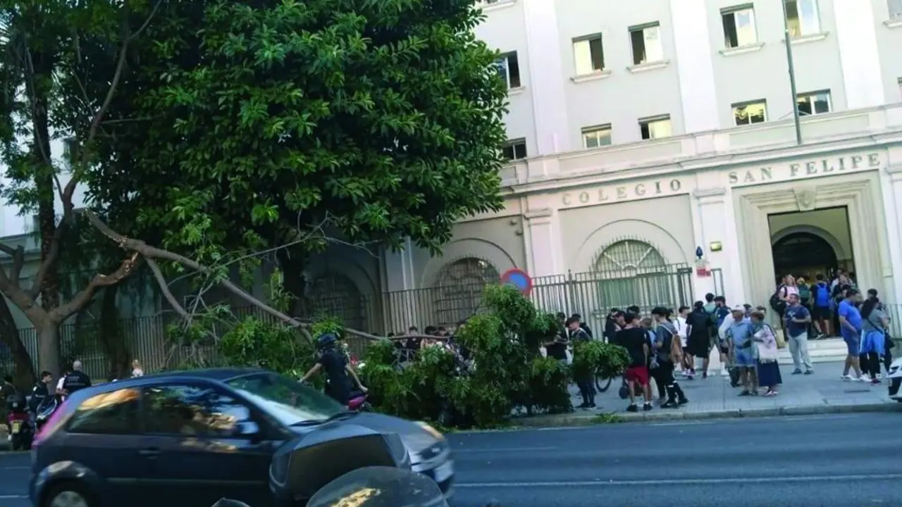 Los hechos se produjeron el pasado mi&eacute;rcoles por la tarde.  - Ayuntamiento de C&aacute;diz