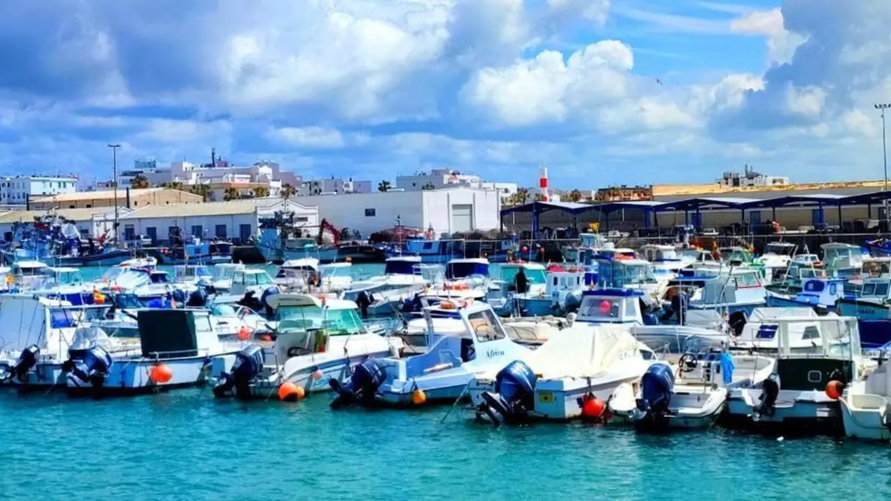 Puerto de Barbate. - Barriento
