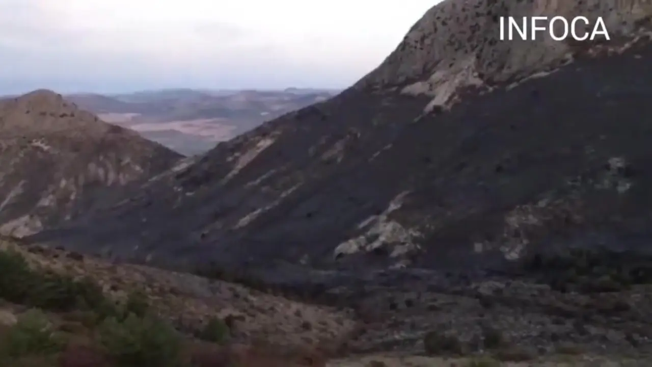 El Infoca da por extinguido el incendio en Iznalloz (Granada), con 130 hect&aacute;reas afectadas