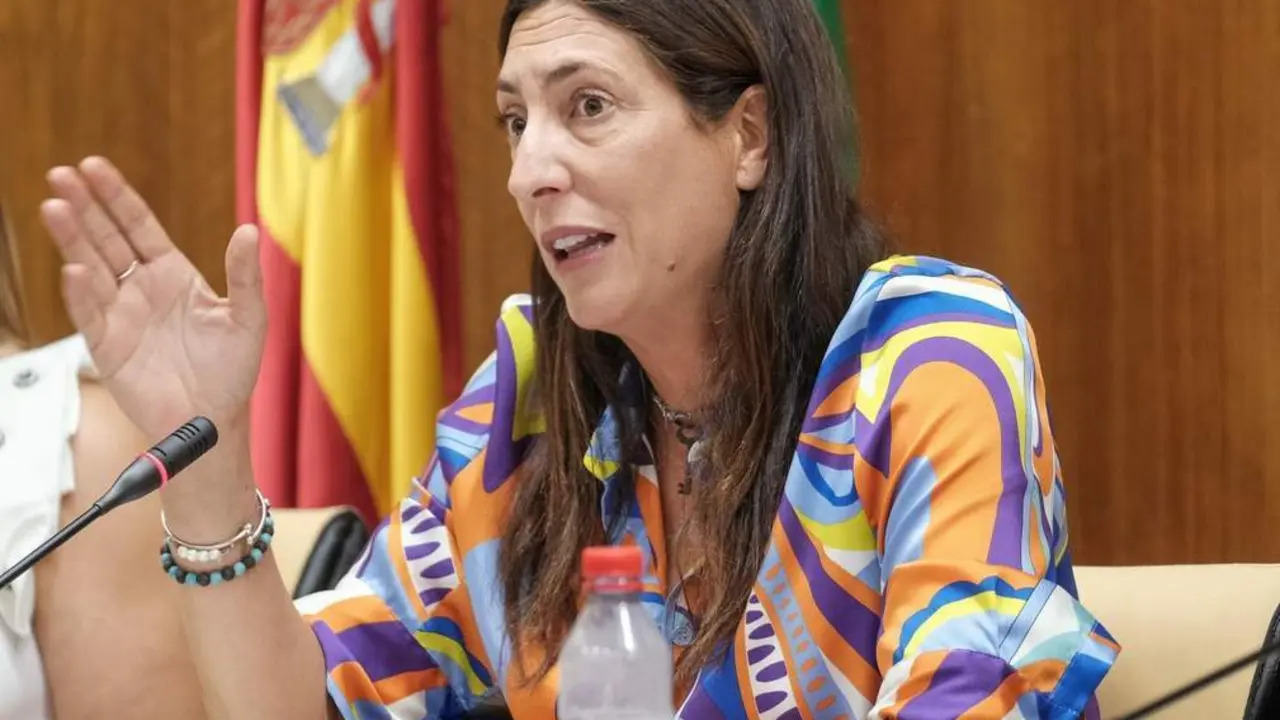 La consejera de Inclusi&oacute;n Social, Juventud, Familias e Igualdad, Loles L&oacute;pez. - ALFREDO DE ANCA/ PARLAMENTO