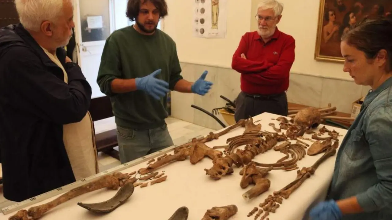 El familiar de este vecino de C&aacute;diz entreg&oacute; la muestra del ADN al Ayuntamiento. - Ayuntamiento de C&aacute;diz