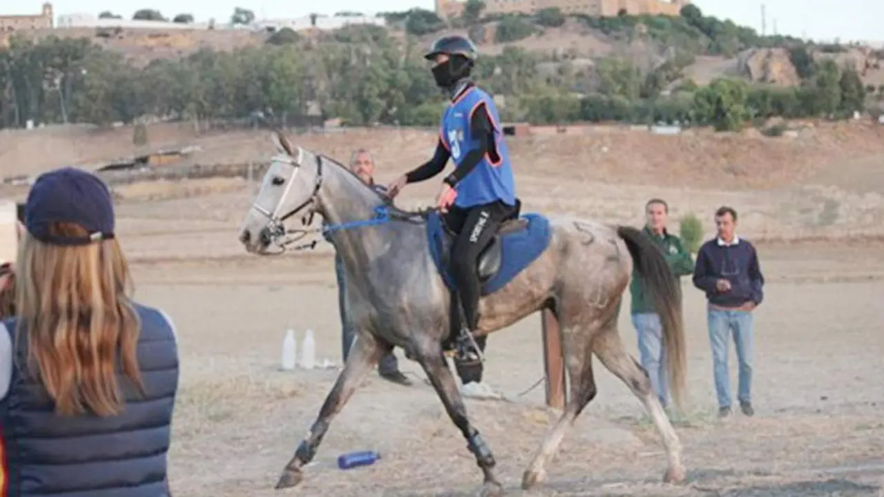 La Real Sociedad de Carreras de Caballos de Sanl&uacute;car tuvo una brillante actuaci&oacute;n en Carmona - RSCCS