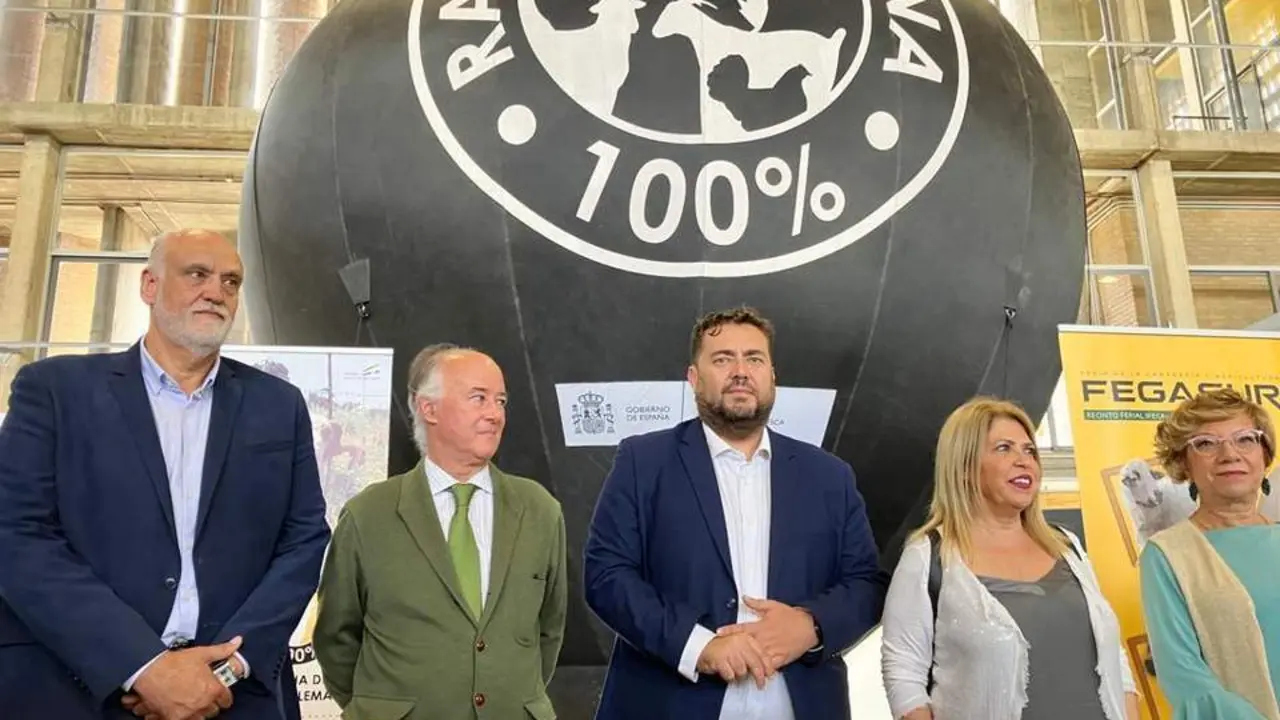 Fegasur, en Ifeca, ha abierto sus puertas hoy sin restricciones sanitarias tras la pandemia. - VIVA