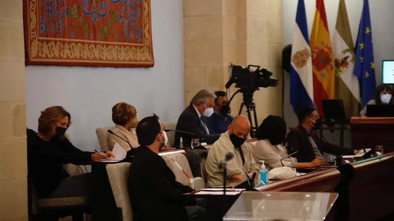 Los concejales de Adelante Jerez y Ganemos Jerez, junto a los del PSOE, en un pleno - Cristo Garc&iacute;a