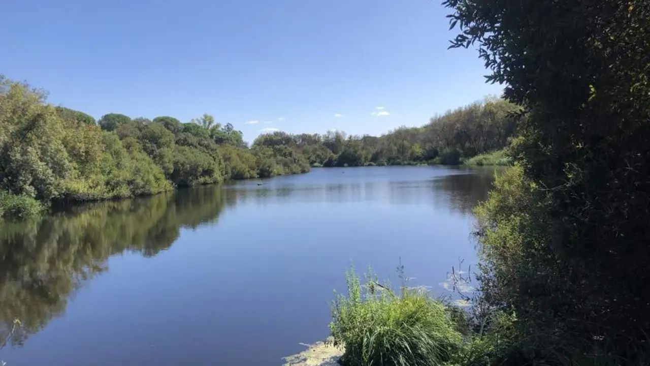 Laguna de Do&ntilde;ana. - VGPALACIOS
