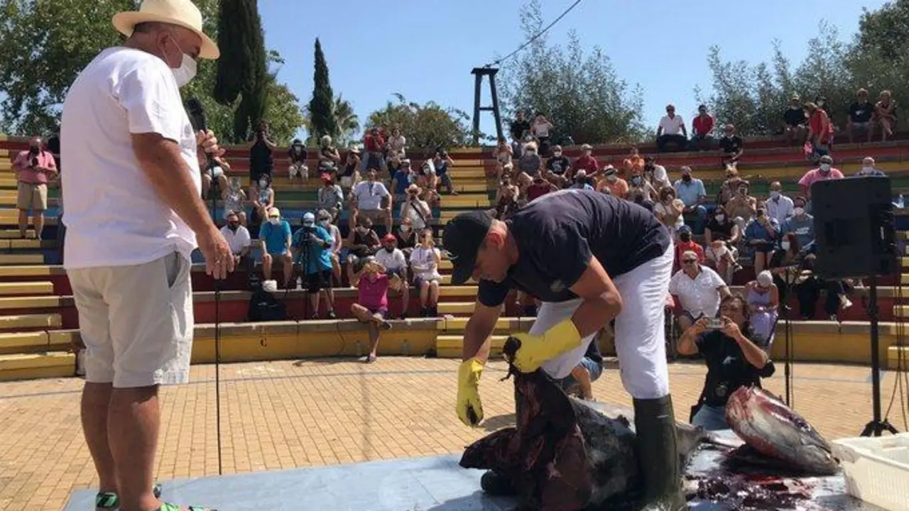 Acto de ronqueo de un at&uacute;n en Isla Cristina. - AYTO