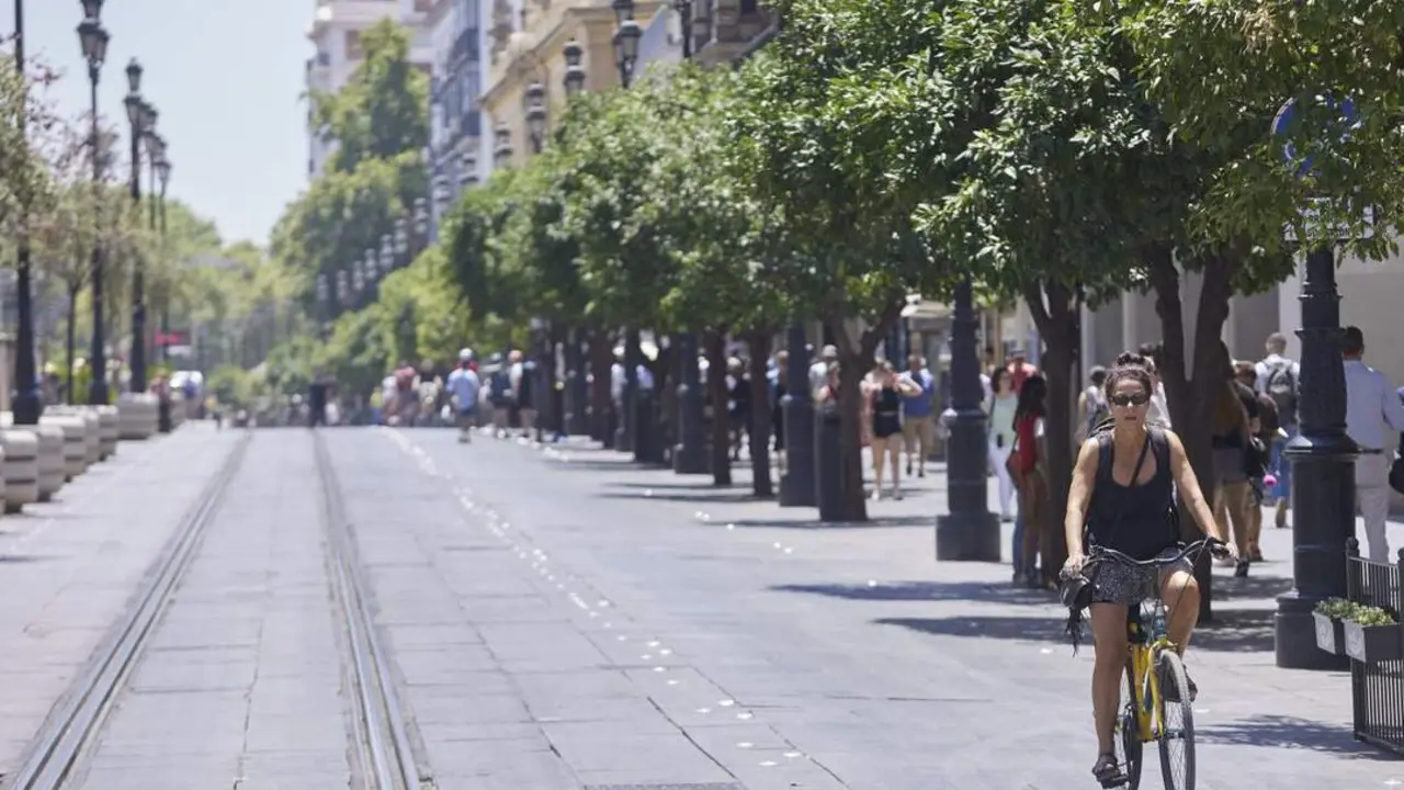 Ciclista en la avenida de la Constituci&oacute;n. - Europa Press