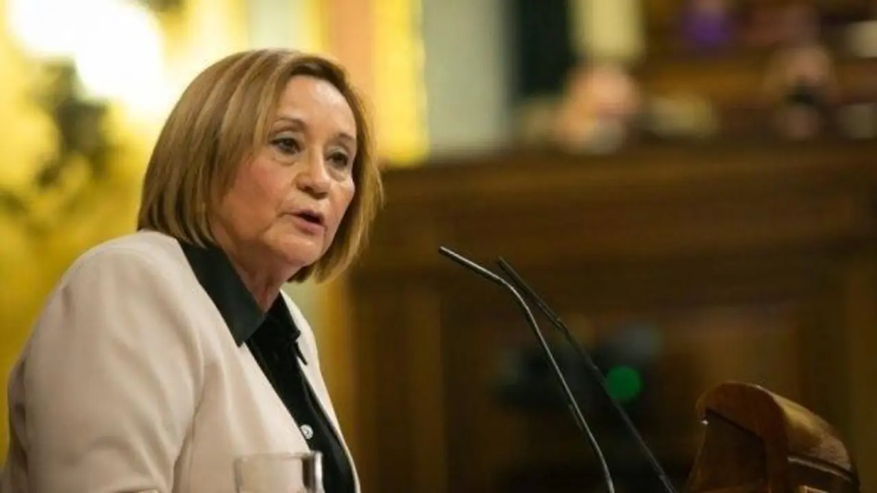 La diputada nacional por el PSOE de Huelva Mar&iacute;a Luisa Faneca. - PSOE