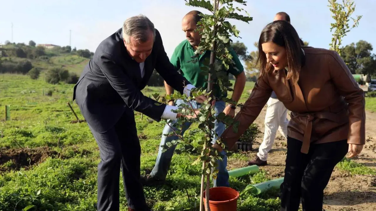 La plantaci&oacute;n. - A.I.