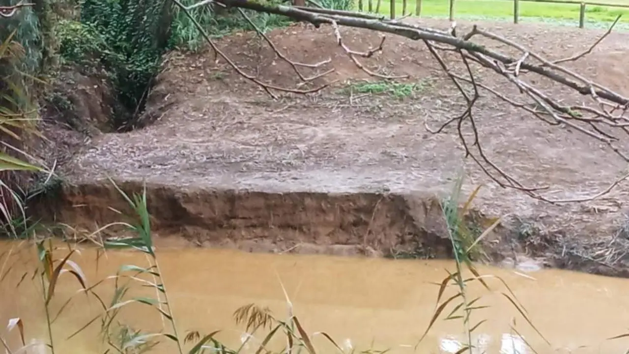 Acumulaci&oacute;n de toallitas en la ribera del r&iacute;o Guada&iacute;ra. - SALVEMOS EL GUADAIRA