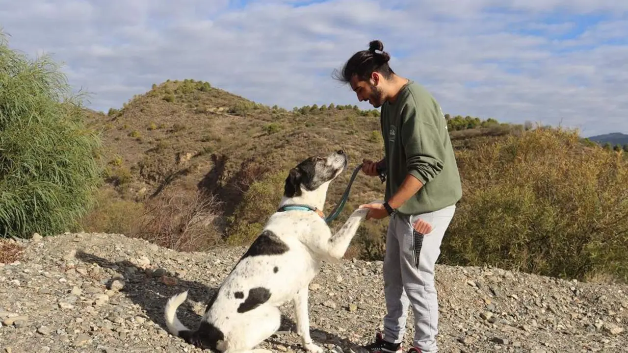 Un voluntario con una perrita que busca una segunda oportunidad. - Protectora