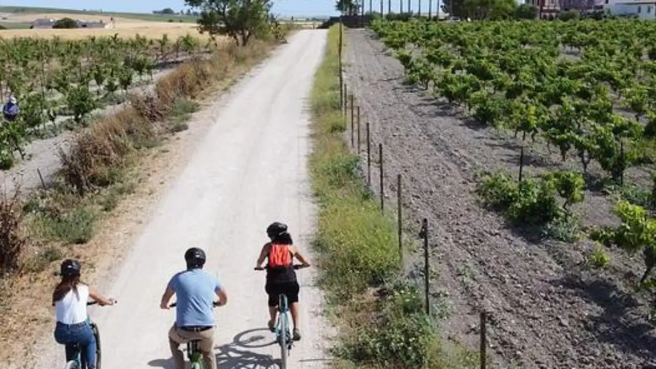 Ruta en bici. - Viva.