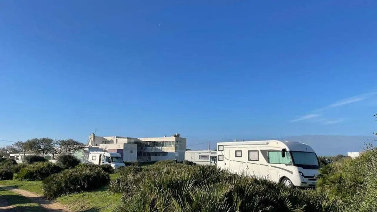 Dehesa El Palmar. - 