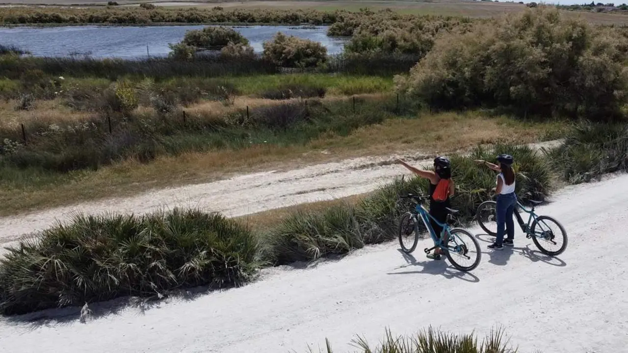 Ruta en bici. - Viva.