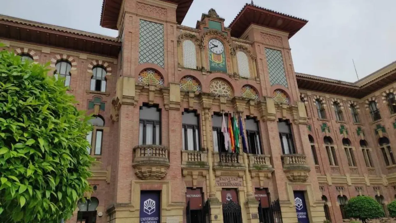 Rectorado de la Universidad de C&oacute;rdoba. - Europa Press