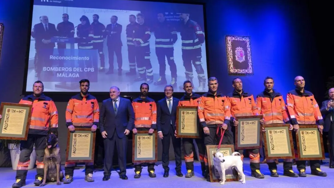 Los nueve bomberos que han recibido el reconocimiento.  - 