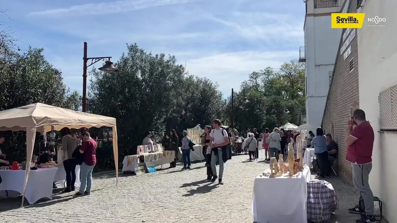 Nuevo proyecto del Ayuntamiento de Sevilla para el Paseo de la O