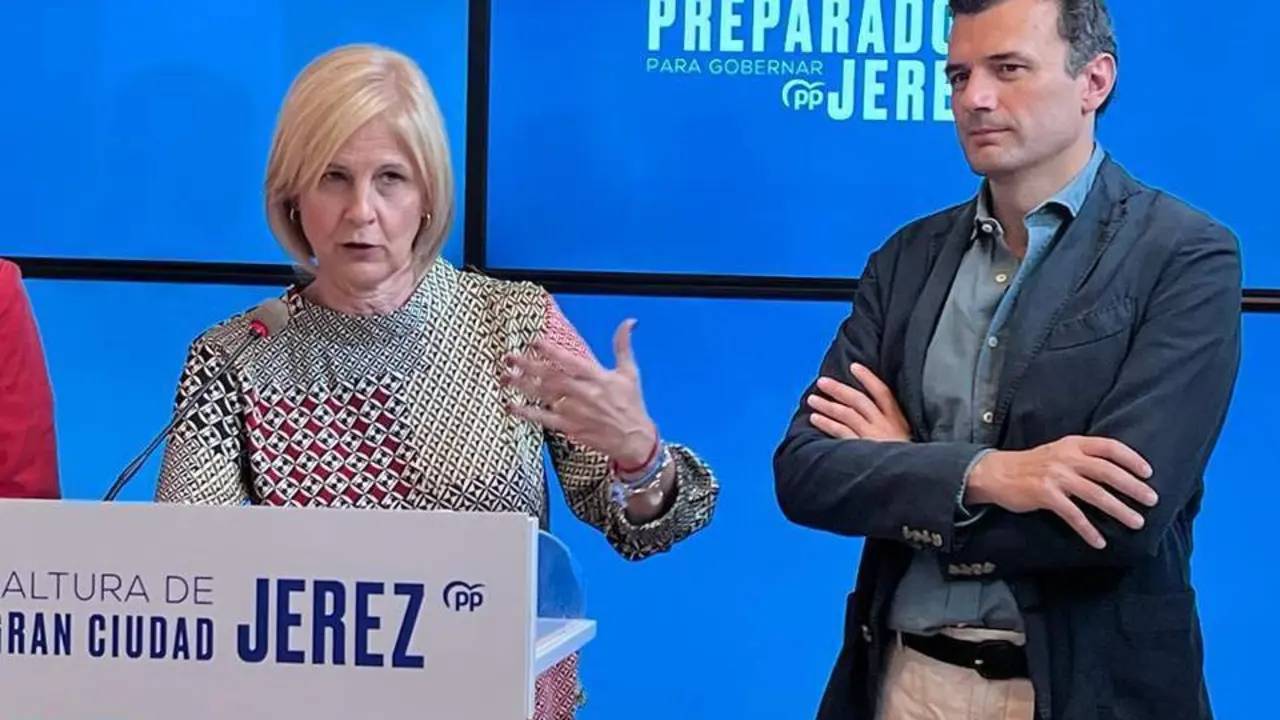 Garc&iacute;a-Pelayo, en rueda de prensa.  - PP