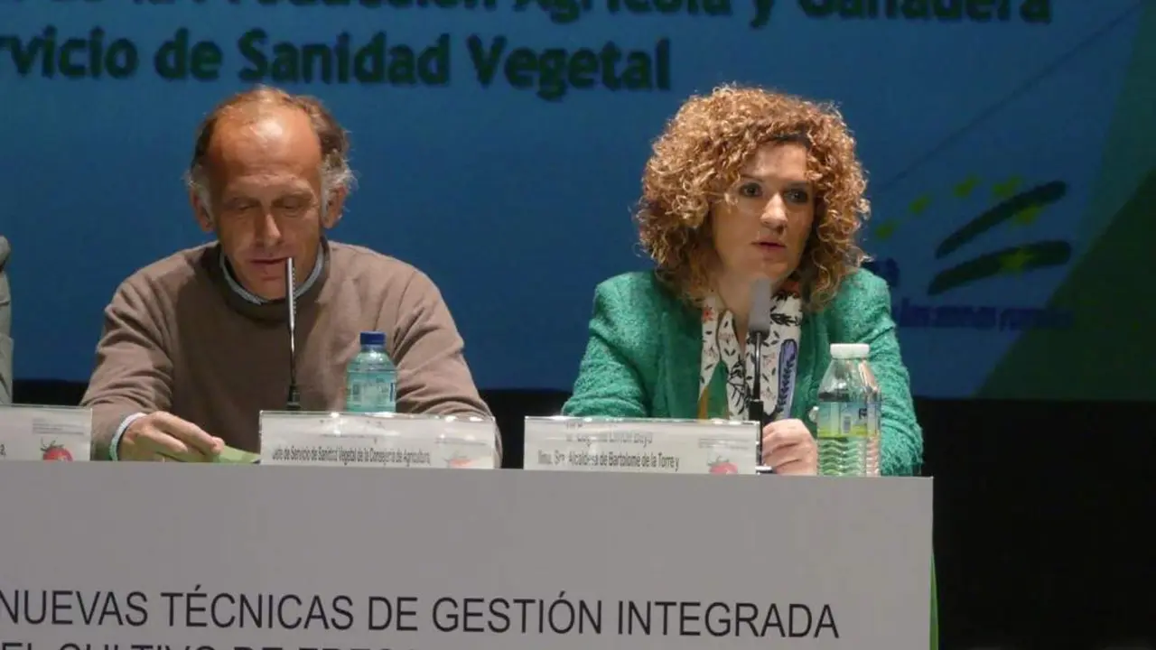 La presidenta de la Diputaci&oacute;n de Huelva, Mar&iacute;a Eugenia Lim&oacute;n. - VH