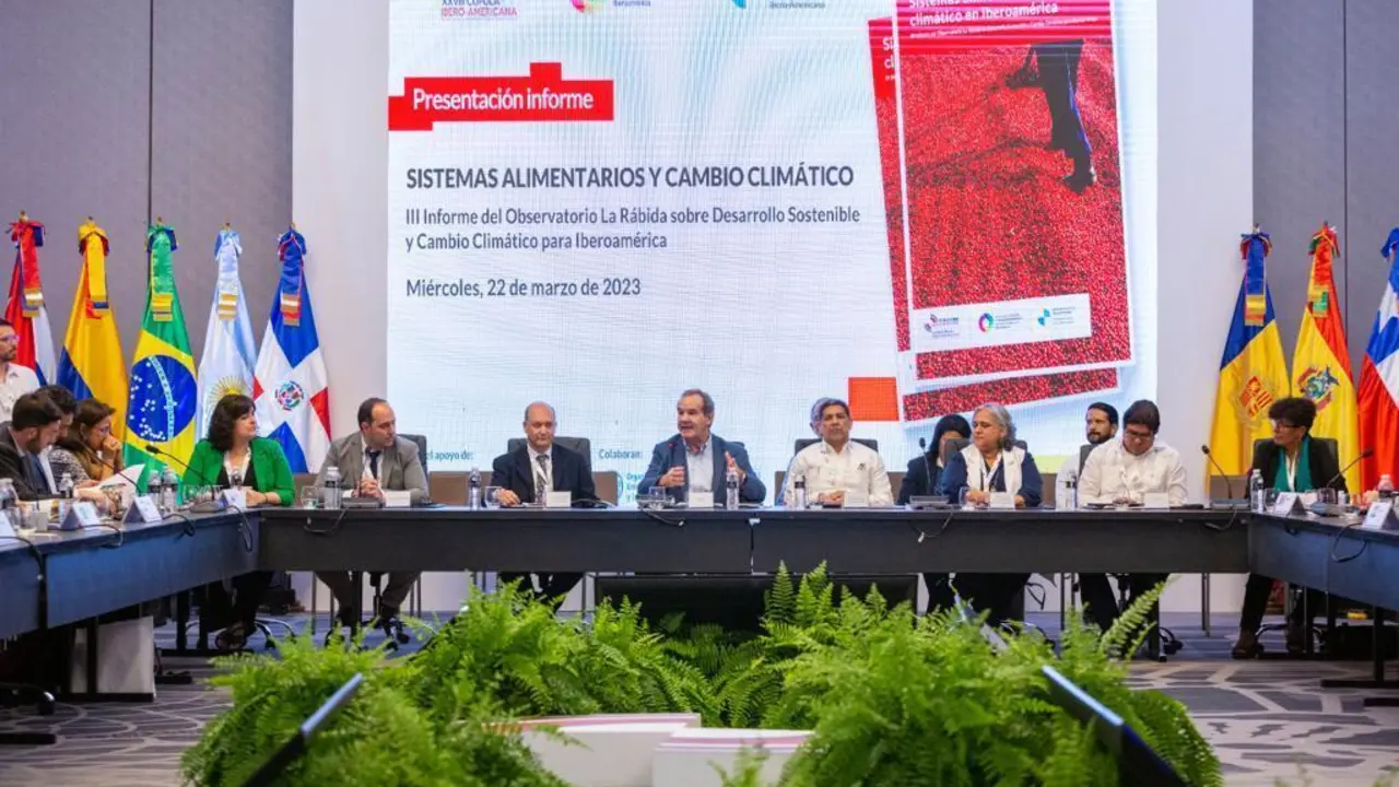 Yolanda Rubio en la presentaci&oacute;n del informe. - VH