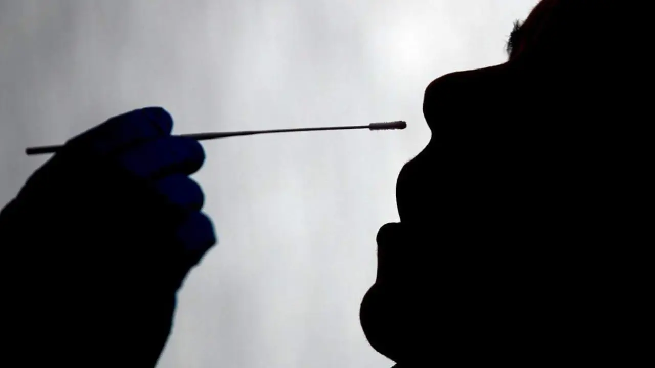 Test de coronavirus. - EFE