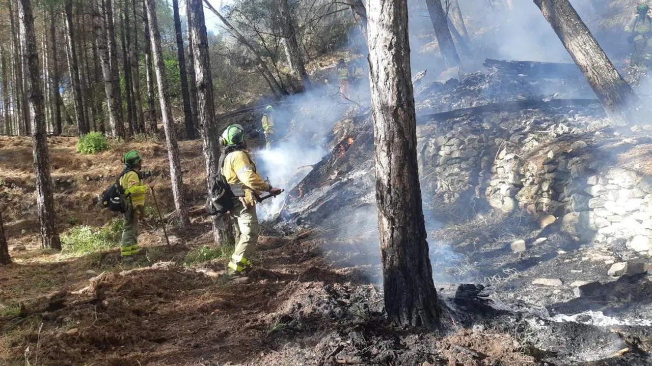 En el incendio de Alcauc&iacute;n. - INFOCA