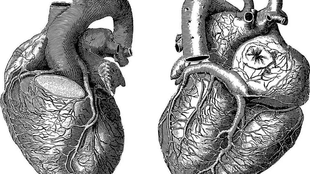 Coraz&oacute;n. - Imagen de Gordon Johnson en Pixabay 
