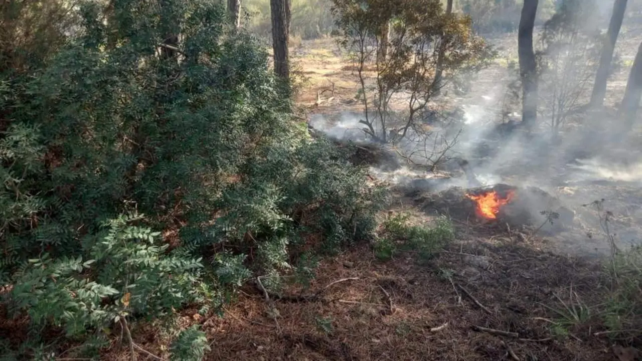 Un incendio. - INFOCA
