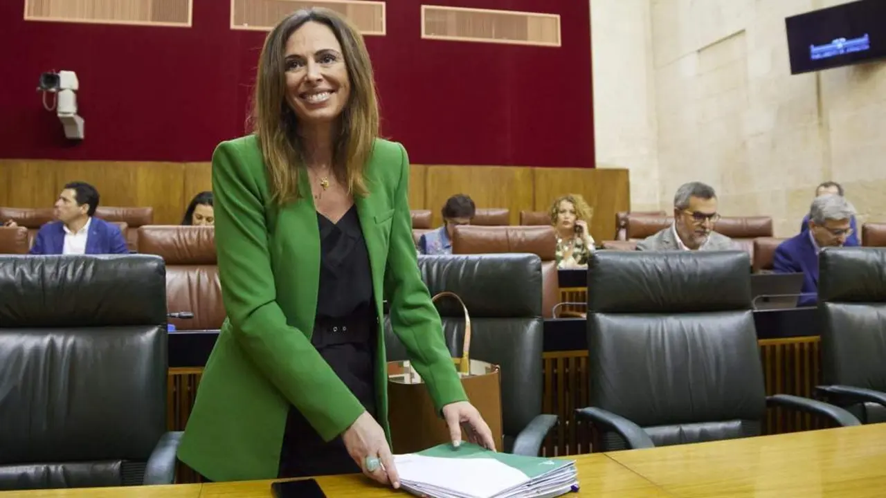 La consejera Roc&iacute;o D&iacute;az. - EP