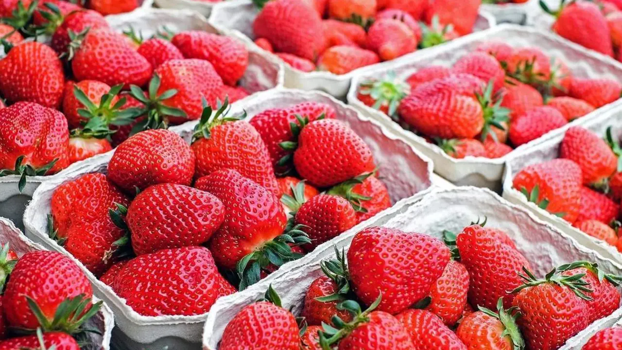 Fresas. - VH