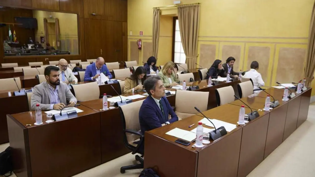 Comisi&oacute;n de Fomento, Articulaci&oacute;n del Territorio y Vivienda. - EP