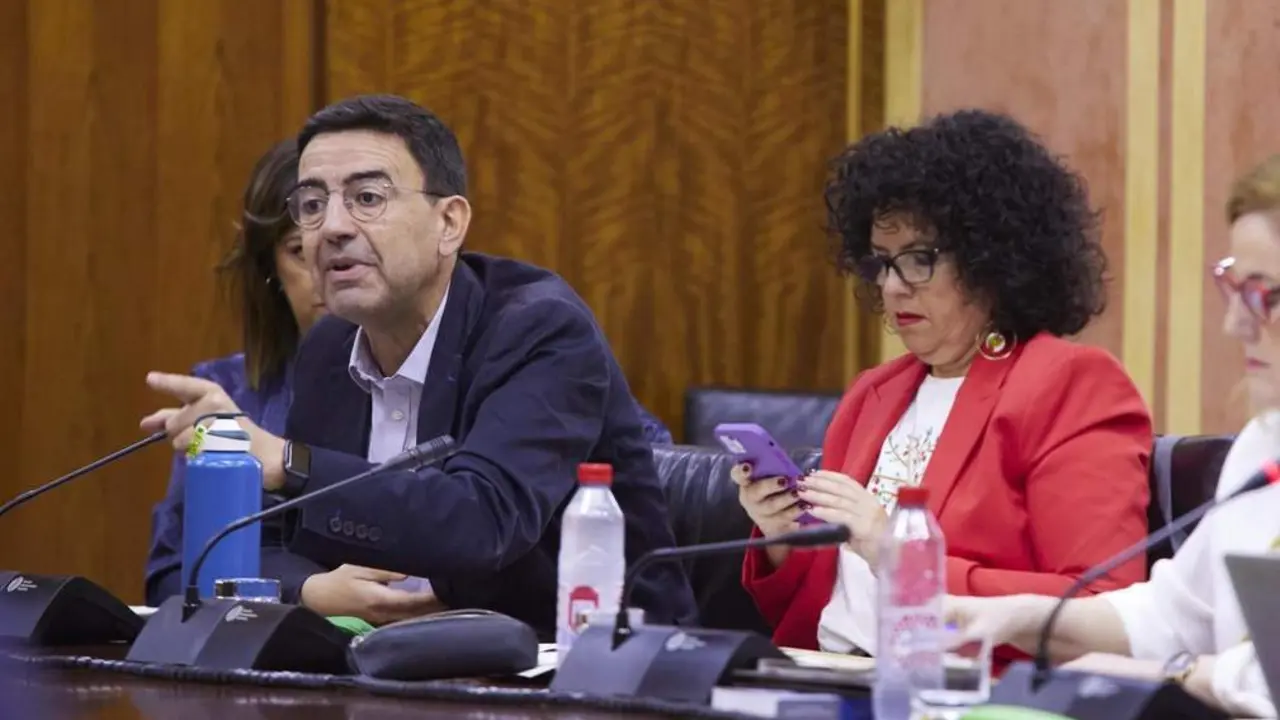 El diputado socialista Mario Jim&eacute;nez, en la Comisi&oacute;n. -  JOAQU&Iacute;N CORCHERO/PARLAMENTO