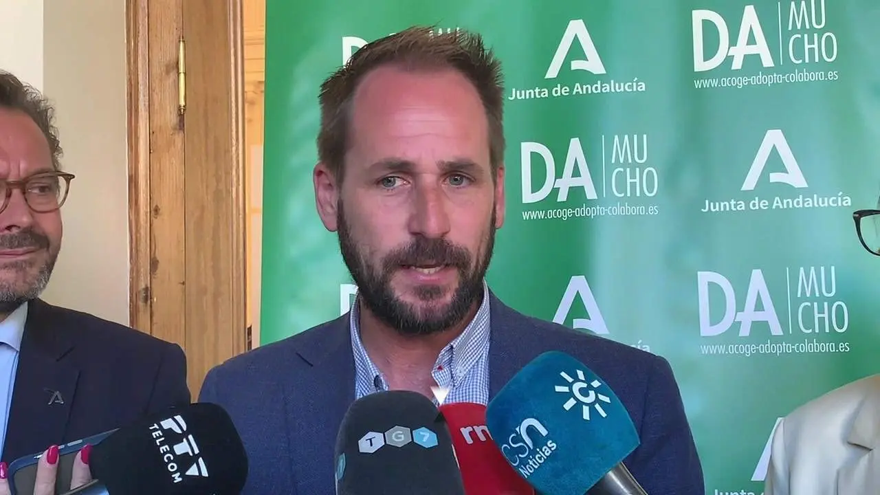 La Junta busca familias para m&aacute;s de 300 menores tutelados en Granada