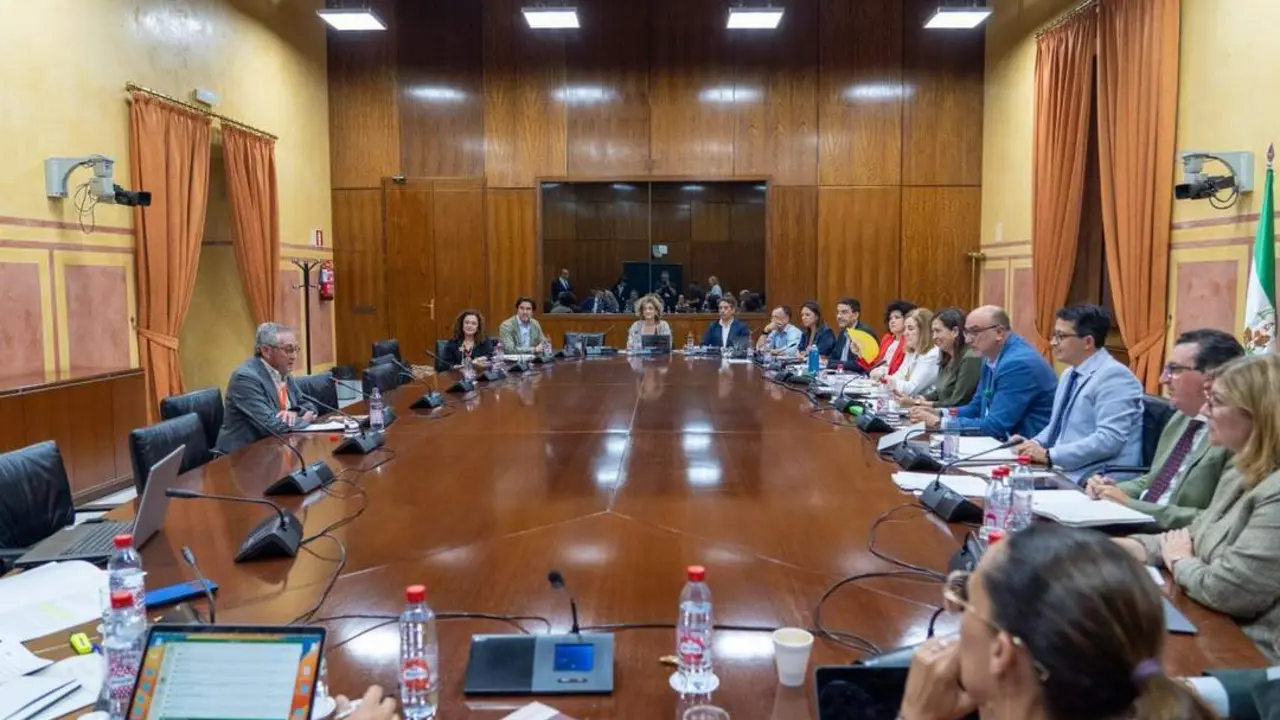 Comparecencia en la tramitaci&oacute;n de la ley. - EP