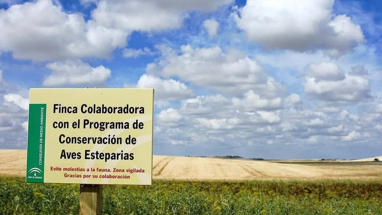 Ecologistas piden proteger la avifauna de la Campi&ntilde;a - Ecologistas en Acci&oacute;n