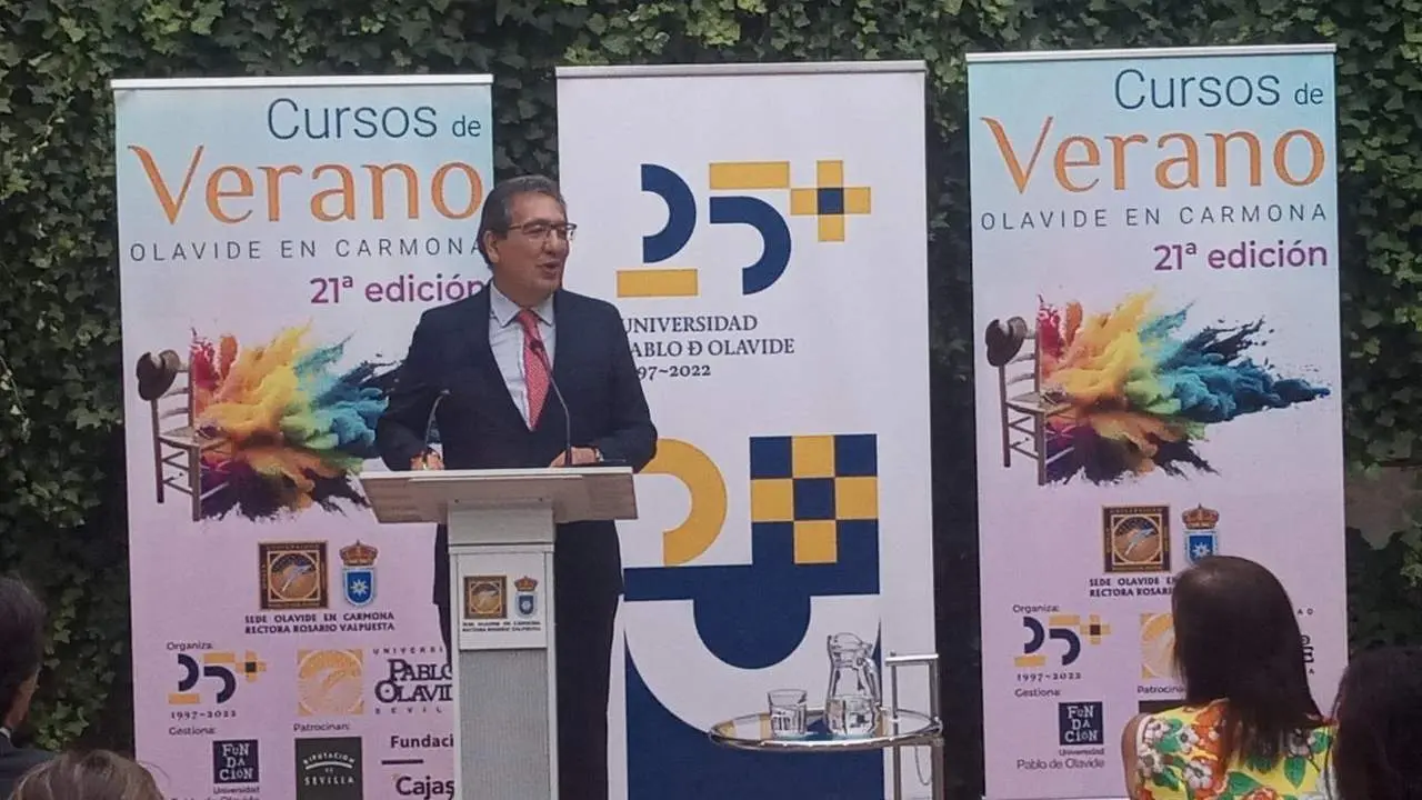 El presidente de Fundaci&oacute;n Cajasol imparte la conferencia. - EP